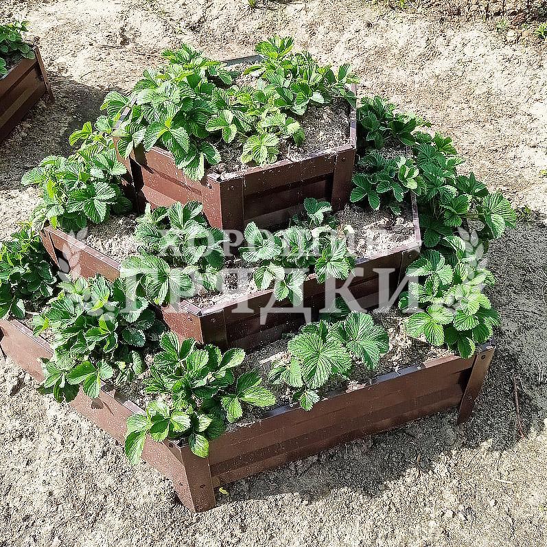 d8a34883-a646-4514-99f8-53631cb62f1e_fs